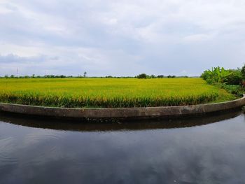 Scenic view of field against sky