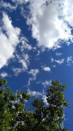 Low angle view of trees against blue sky