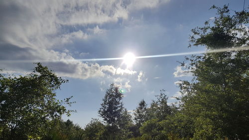 Low angle view of trees against cloudy sky