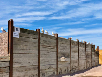 wall