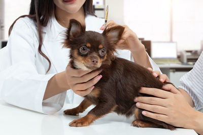 Midsection of woman with dog