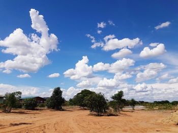 Trees on field against sky