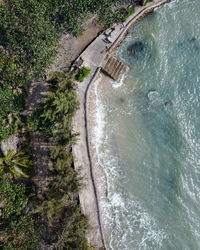 High angle view of trees by sea