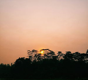 Low angle view of silhouette trees against sky during sunset