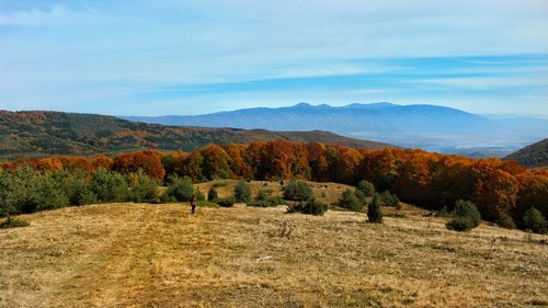 Trees on field against sky during autumn