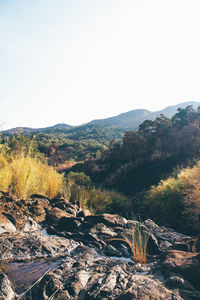 Scenic view of landscape