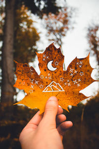 Midsection of person holding maple leaves during autumn