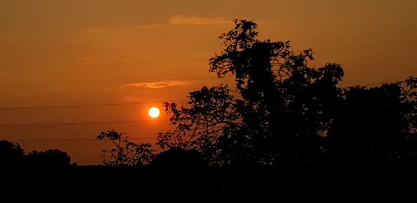 Low angle view of silhouette trees against orange sky