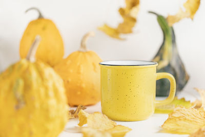 Small pumpkins, leaves and mug on white. fall and season hot beverages