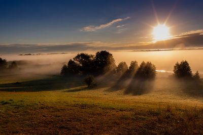 Scenic view of field against sky during sunset