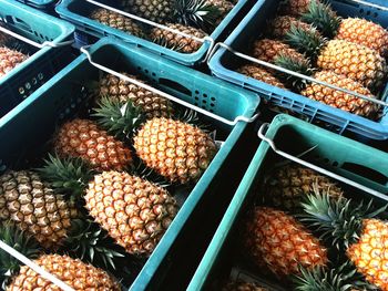 High angle view of fruits for sale at market stall
