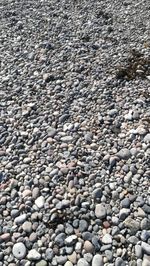 Full frame shot of pebbles on beach