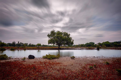 Scenic view of lake against sky