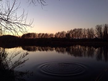 Reflection of trees in water