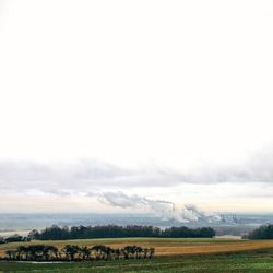 Scenic view of grassy field against sky
