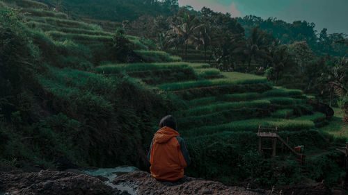 Rear view of man looking at farm