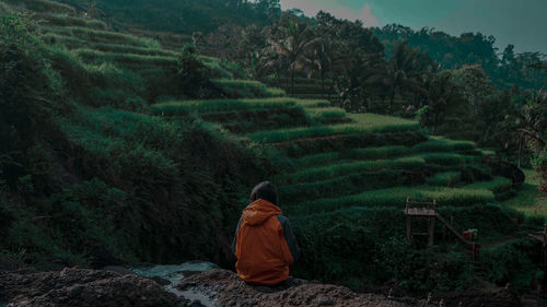 Rear view of young woman sitting against terraced field