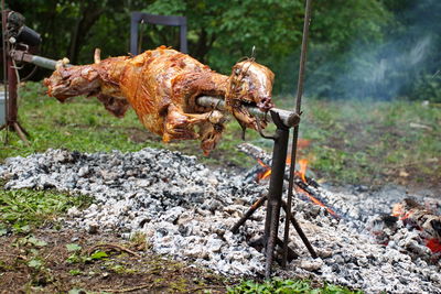 Whole lamb baked on a spit
