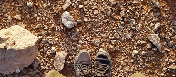 Low section of person standing on rock