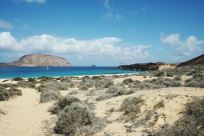 Scenic view of beach against blue sky