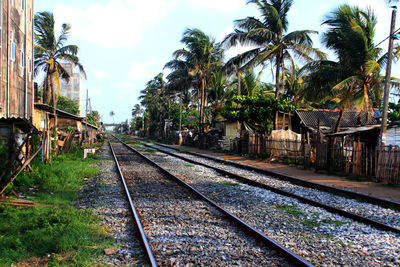 Railroad tracks by palm trees against sky