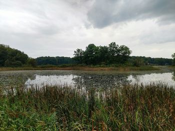 Scenic view of calm lake