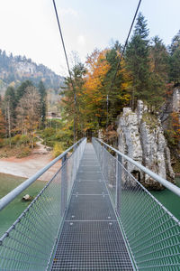 Footbridge amidst trees in forest against sky during autumn