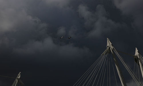 Low angle view of airplane flying in sky