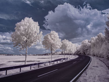 Road amidst trees against sky during winter