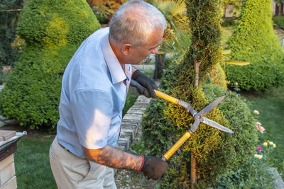 Mature gardener using scissors for trimming the branches. concept of garden decoration