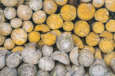 Full frame shot of logs in forest