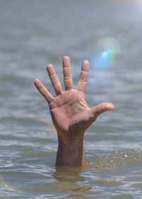 Cropped hand of person dangerin sea
