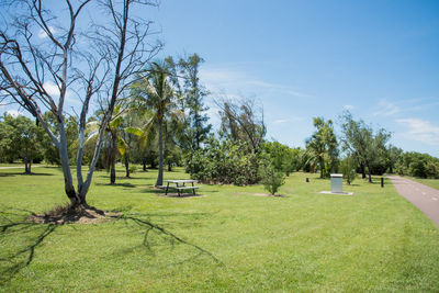 Trees on field against sky