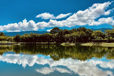 reflection