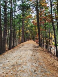 Footpath amidst trees in forest during autumn