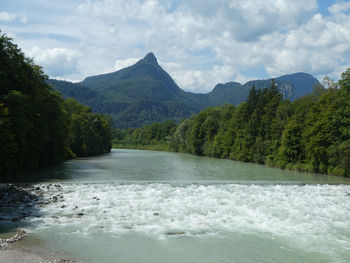 Scenic view of river amidst trees against sky