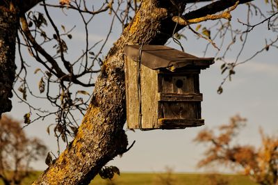 Low angle view of birdhouse on tree