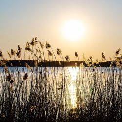 Sunset over lake
