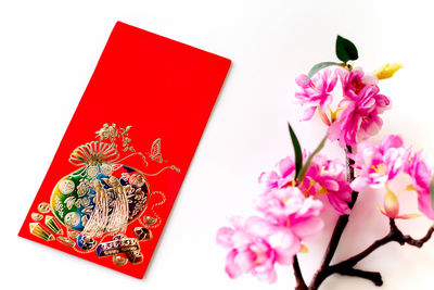 Close-up of pink flowers against white background