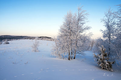 Beautiful winter landscapes in the valleys