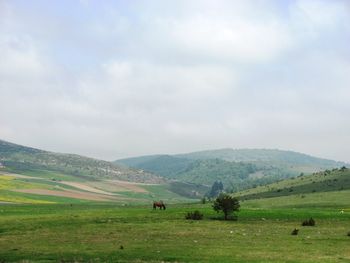 Scenic view of landscape against sky