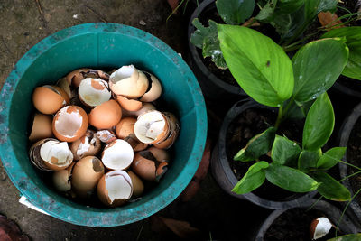 High angle view of eggs in bowl