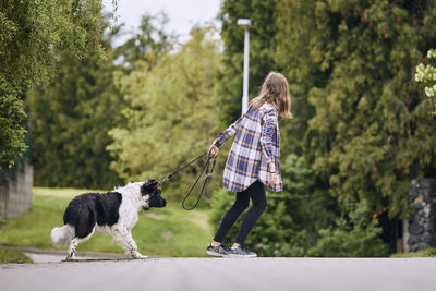 Full length of a dog on landscape