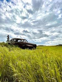 Scenic view of agricultural field against sky