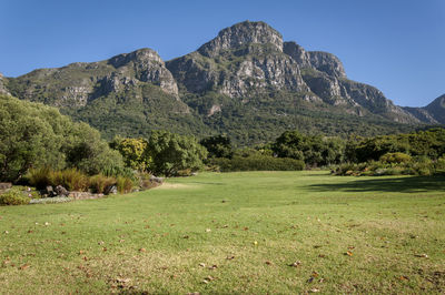 Scenic view of tree mountains against clear sky