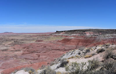 Stunning blue skies over a colorful valley in the painted desert.