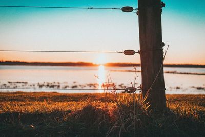 Close-up of grass on field against lake during sunset