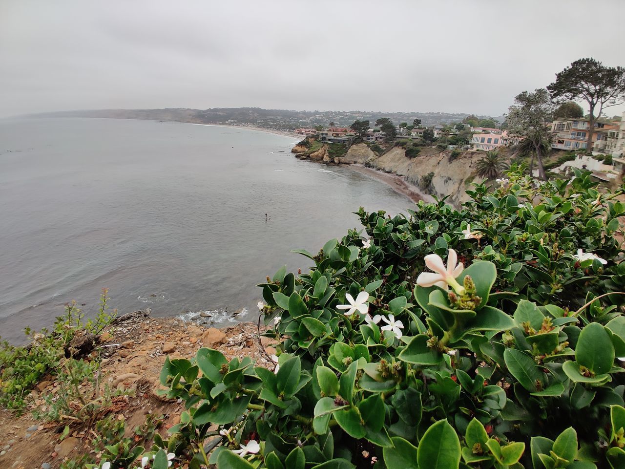 HIGH ANGLE VIEW OF SCENIC VIEW OF SEA AND PLANTS AGAINST SKY