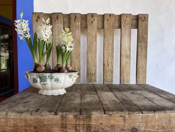 Potted plants on table against wooden wall