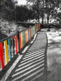 Walkway along trees